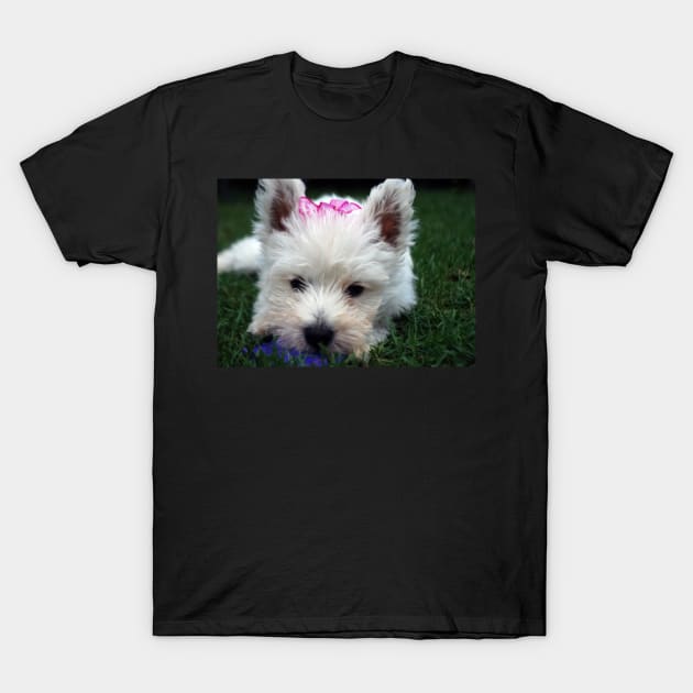 Westie puppy T-Shirt by princess-pirate